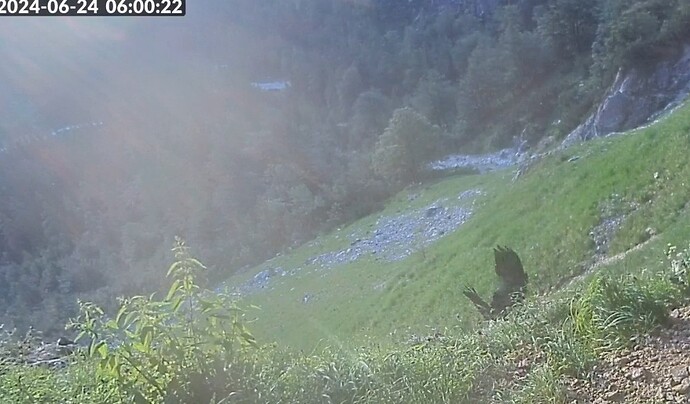Screenshot_2024-06-24-06-00-45-681_com.android.chrome