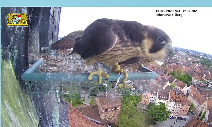 Screenshot_20230513-170525~2