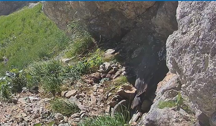 Barti bei Badewanne 25.06.25