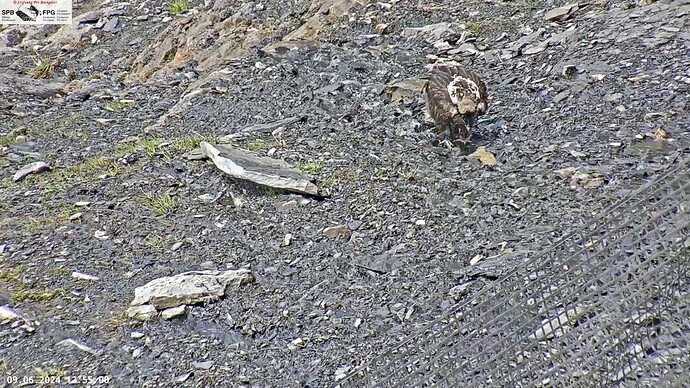 Bildschirmfoto vom 2024-06-09 12-55-09