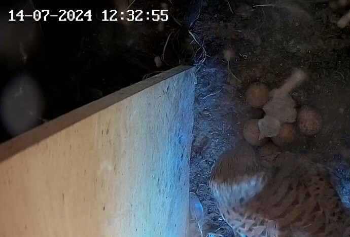 Screenshot_20240714_123413_Samsung Internet