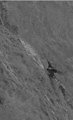 Screenshot_20240627_050309_Chrome