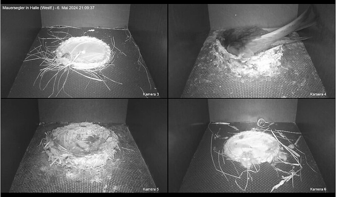 Screenshot_20240506_211003_Opera