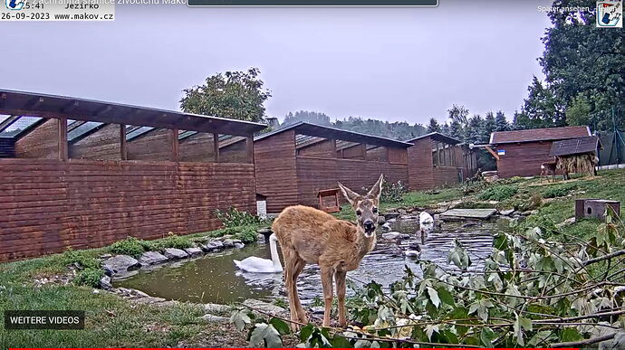 Snap_2023.09.26_08h10m05s_003_