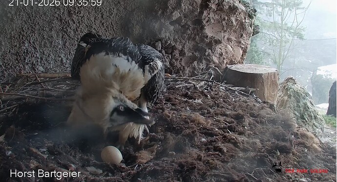 H Körperpflege 21.01.26