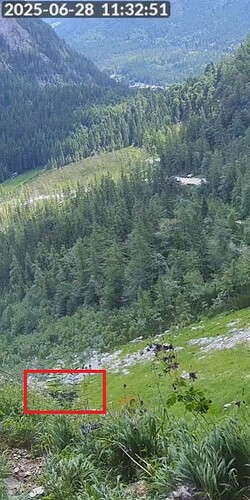 Snap_2025.06.28_11h33m13s_013_