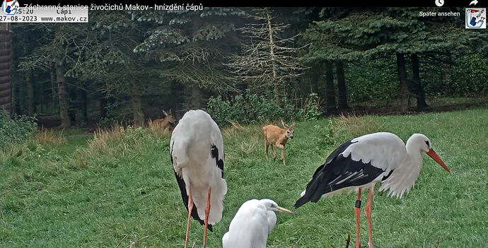 Snap_2023.08.27_18h48m37s_002_