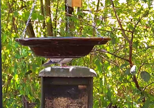 Snap_2022.08.07_15h43m35s_017_