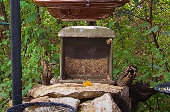 Snap_2022.08.21_07h39m29s_004_