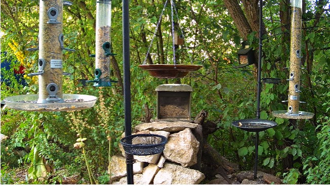 Snap_2022.08.05_06h37m15s_007_