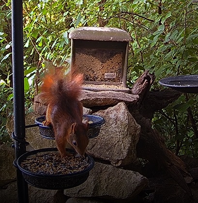 EK am Morgen 1 29.06.24