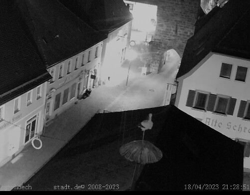 Bild