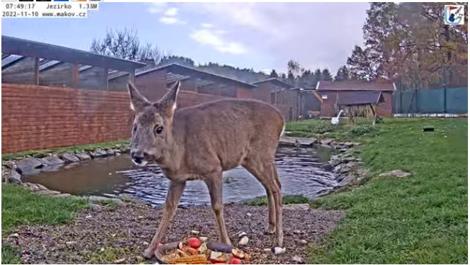 Snap_2022.11.10_07h49m54s_003_