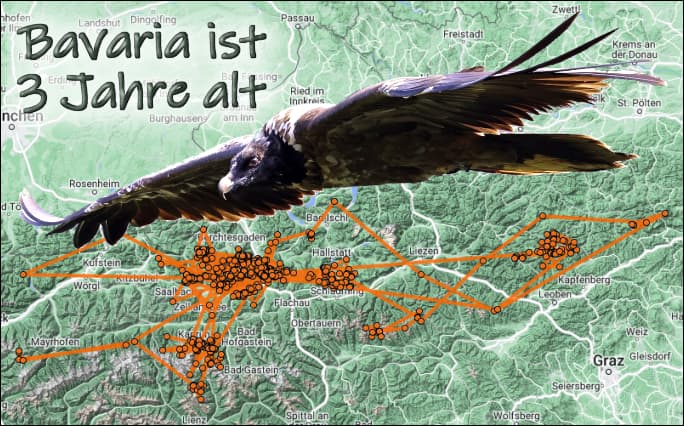 11.März. Bavaria