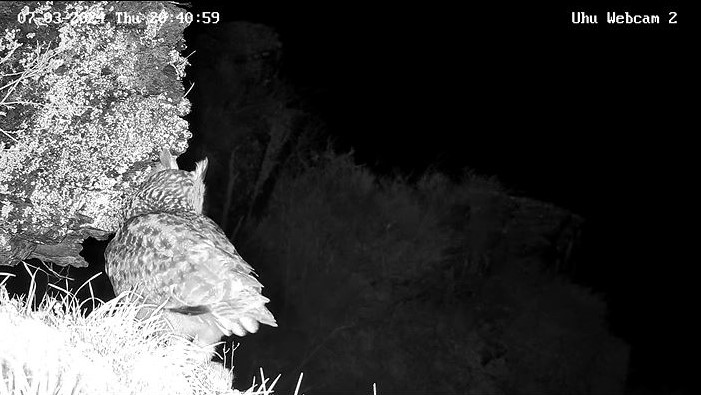 Uhu28