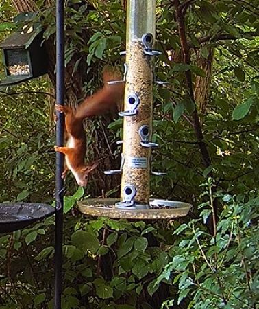 EK als Artist 19.06.24