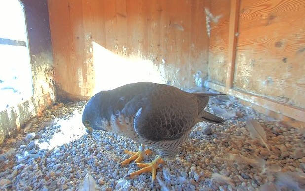 Screenshot_20251002-100228_Firefox~2