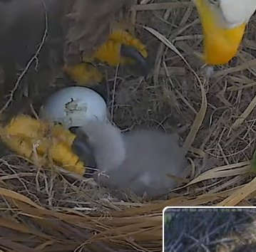 Screenshot 2023-12-18 234350