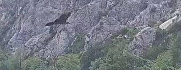 Üben am Morgen 1 04.07.25