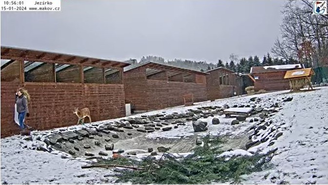 Makov59