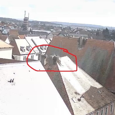 Snap_2023.03.27_11h06m40s_012_