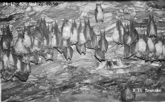 2025-12-24_5 erneute Gruppenbildung