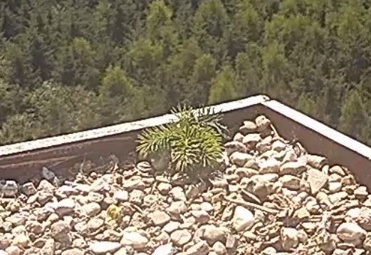 Snap_2025.06.25_10h31m22s_004_