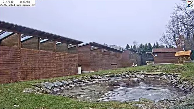 Makov31