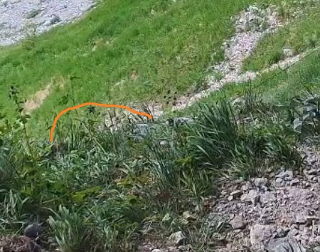 Snap_2025.06.15_17h26m10s_015_