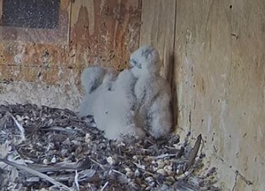 Unbenannt