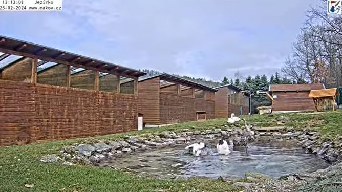 Makov34