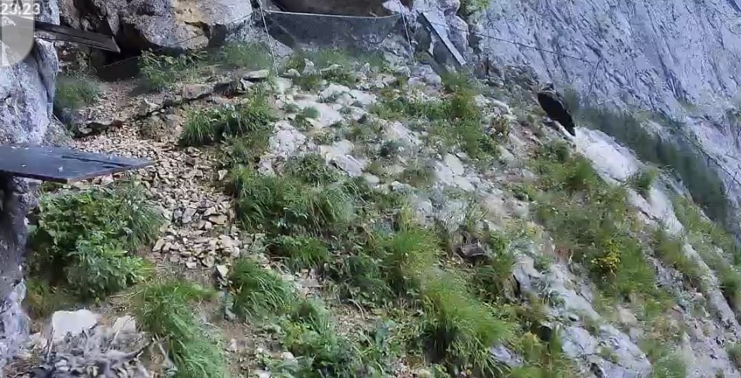 Screenshot_20250627_162339_Samsung Internet