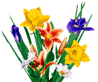 animiertes-blumen-bild-0179