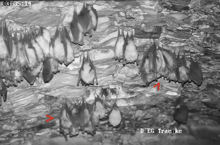 2025-12-29 ab 03.00_3 Beginn Aktivitäten und Cluster