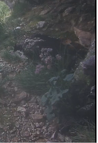 Screenshot 2024-07-19 105909