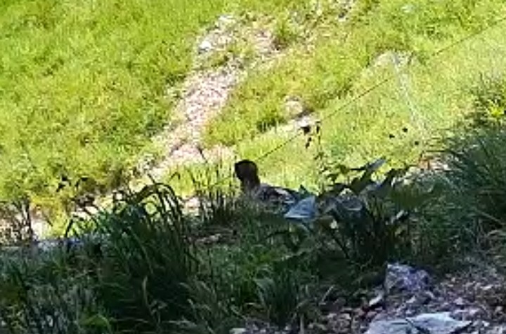 Screenshot_20250621-123230_Chrome