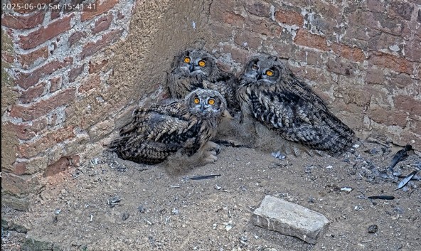 Screenshot 2025-06-07 153722