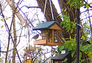 Screenshot 2024-04-01 191654