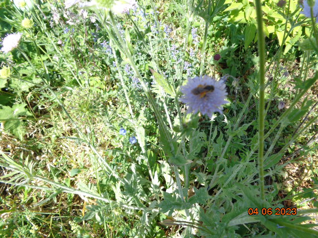 DSC00312