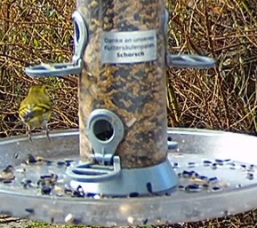 Erli bei Schorsch vor dem Abflug 17.02.24