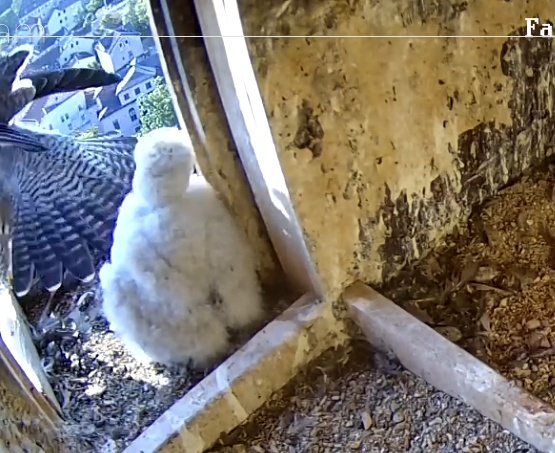 Screenshot_20230515-073015-01