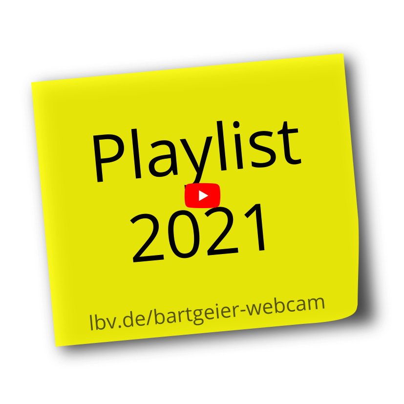 Playlist_2021_MEMO_YT