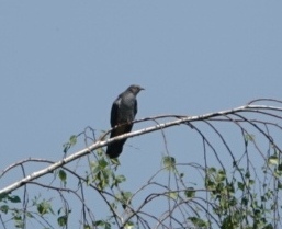 IMG_20230603_210655
