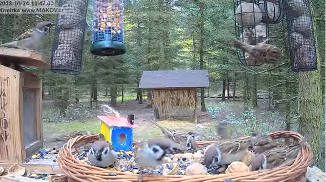 Snap_2023.10.24_11h47m31s_005_