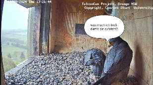 IMG_20240926_063352