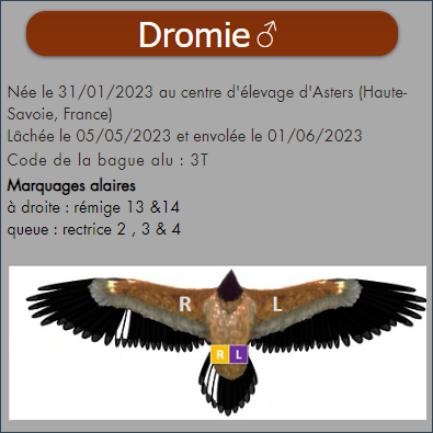 Dromie Fr