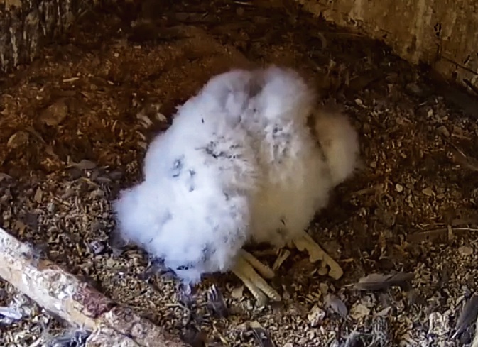 Screenshot_20230515-182952-01