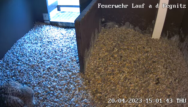 2023-04-20 15_01_50-Freiwillige Feuerwehr Lauf an der Pegnitz und 5 weitere Seiten - Persönlich – Mi