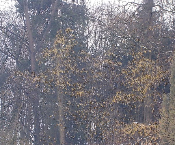 Snap_2026.02.21_08h39m35s_003_