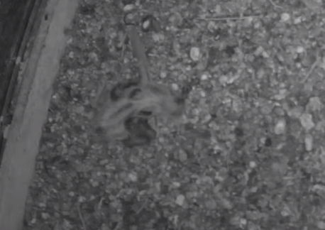 Snap_2023.11.15_09h04m16s_002_